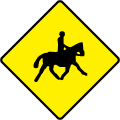 Accompanied Horses